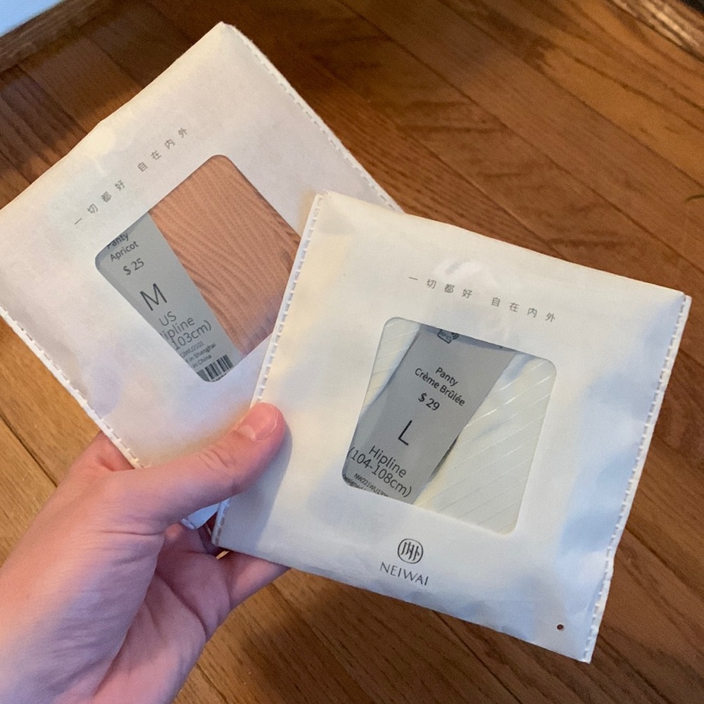 NWT Neiwai Silk panties